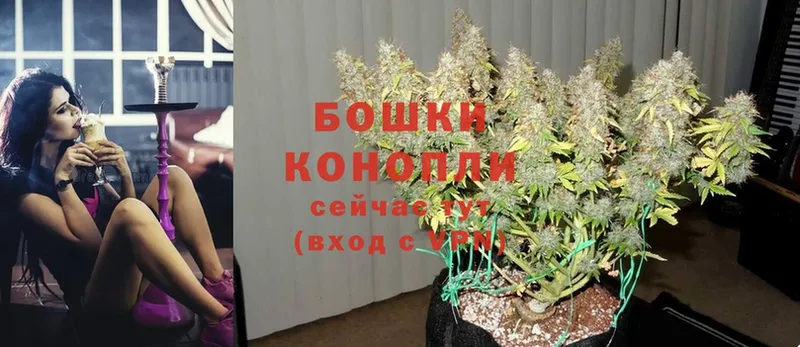 Бошки марихуана White Widow  как найти   Верещагино 